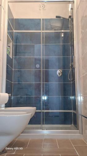 a bathroom with a shower with a toilet and a sink at Bed and Breakfast La Reale in Stintino