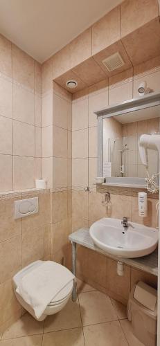 une salle de bain avec un lavabo et des toilettes dans l'établissement W Krainie Alicji, à Nałęczów