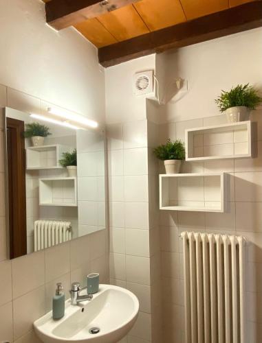 a bathroom with a sink and a mirror and a radiator at La Chiocciola in Parma