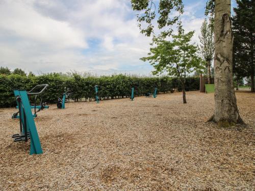 an empty park with blue benches next to a tree at Dove in Leominster