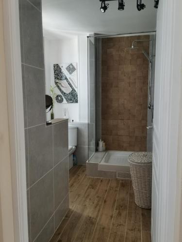 a bathroom with a shower and a bath tub at Horizon Mer in Le Gosier
