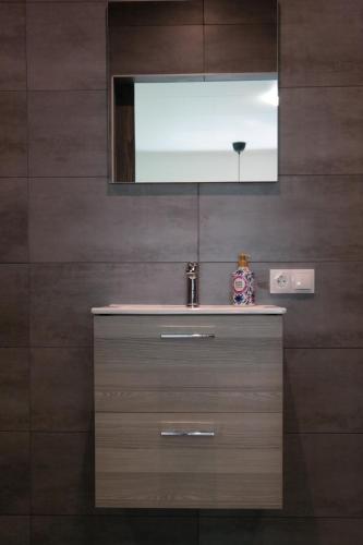 a bathroom with a sink and a mirror at Boerderij Lodge De Haarakker in Langeveen