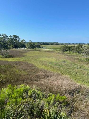 a field of grass with trees in the background at 1515 Deer Pointe Villa in Seabrook Island