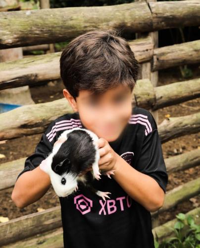 Tetamu yang menginap di Hotel Fazenda Upã Moña