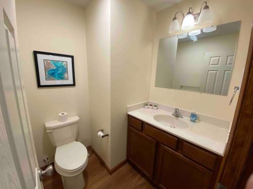a bathroom with a toilet and a sink with a mirror at Lakefront home with kayaks fire pit hot tub and walk to restaurants and bars in Lake Harmony