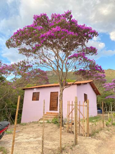 a pink house with a tree in front of it at Casa Lilás no Vale do Capão in Vale do Capao