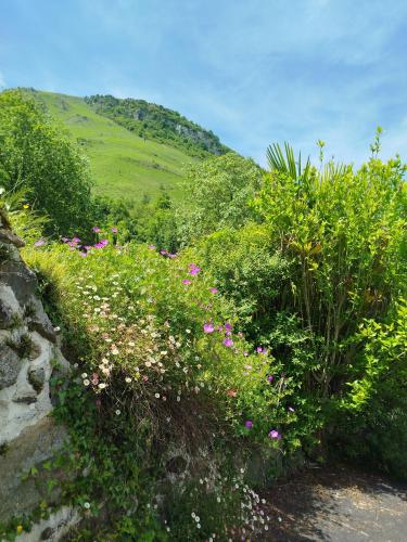 un champ de fleurs sur le côté d'une colline dans l'établissement Au Gré des Saisons - 3 chambres, à Gère-Belesten