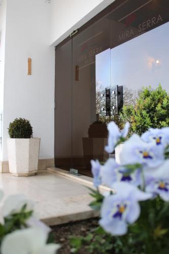 a group of blue flowers in front of a building at Lavanda Hotel Mira Serra in Celorico da Beira