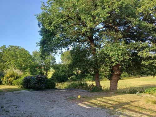 a tree in the middle of a field with a yard at Le gîte de la Mandraie in La Gacilly