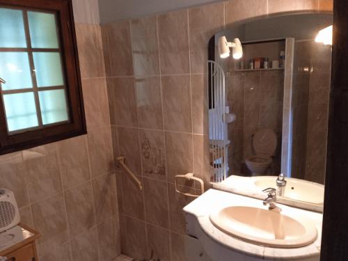 a bathroom with a sink and a toilet and a mirror at Cours ruralité tranquillité in Cours