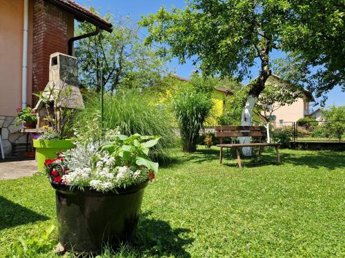 a garden with a pot of flowers and a bench at Studio apartman Marica - Ogulin, Hrvatska in Ogulin