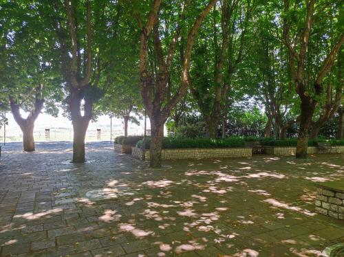 a park with trees and a brick walkway at Affittacamere Scacco Matto in Monteleone di Puglia