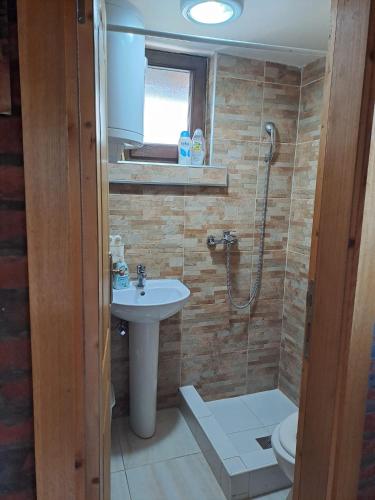 a bathroom with a sink and a shower and a toilet at Apartment Vistanova in Vrdnik