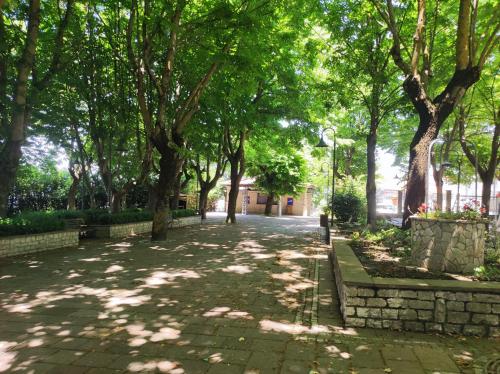 a tree lined street in a park with trees at Affittacamere Scacco Matto in Monteleone di Puglia