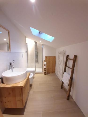a bathroom with a sink and a toilet and a mirror at Casa MONTAGNA in Fai della Paganella