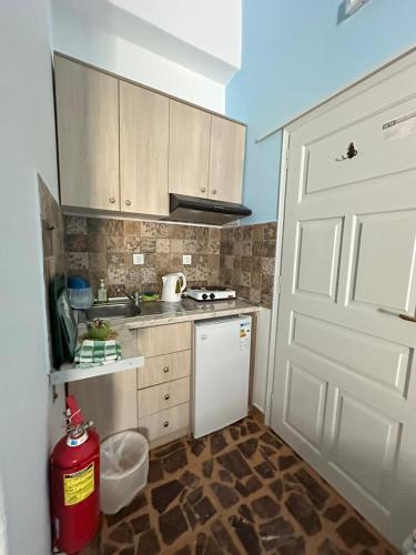 a kitchen with a white door and a fire hydrant at Rena's Garden Rooms in Lipsoi