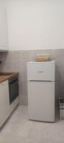 a kitchen with a white refrigerator with a basket on top at MaRo s prelijepim pogledom in Jesenice
