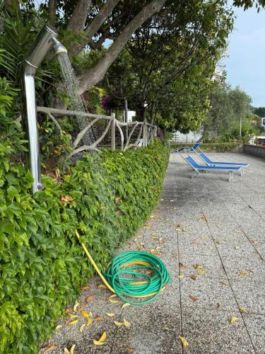 a green hose on the ground next to a hedge at WELCOME RIVIERA Nautilus 11- vista mare-posto macchina individuale-ONLY ONE CAR-piscina condominiale-attrezzatissimo in Rapallo