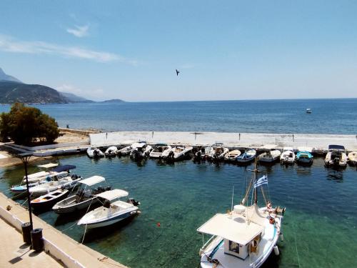 a bunch of boats are docked in the water at Selo Apartments Mani in Agios Nikolaos