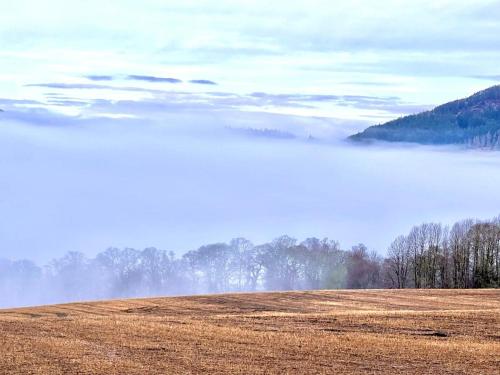 a field with fog in a field with trees in the background at The Whisky Room - Highland Bothy by edradour1725 in Pitlochry