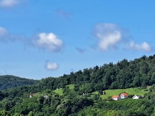 a house on a hill in the middle of a forest at Bella LUX in Modriča