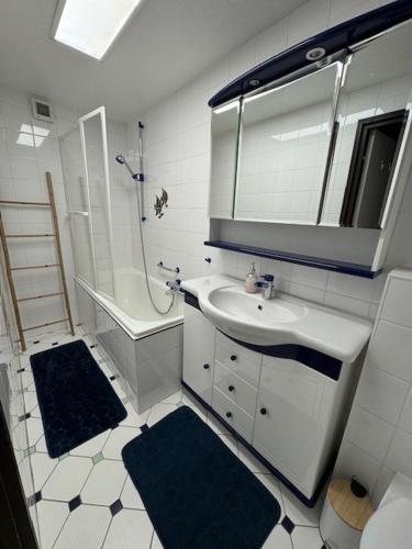 a bathroom with a sink and a shower and a mirror at Cottage des Cîmes in Climbach