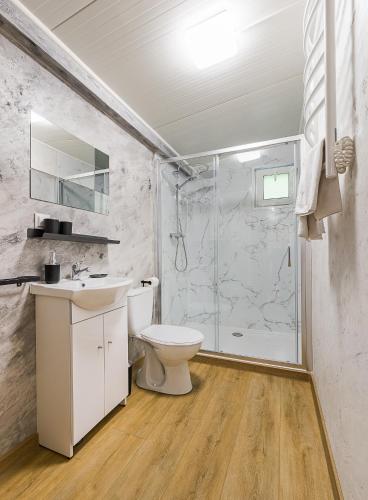 a bathroom with a shower and a toilet and a sink at Domki Nad Potokiem in Wańkowa