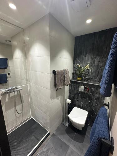 a bathroom with a shower and a toilet at B&M Jacuzzi Rezidencija SELF CHECK - IN in Vilnius