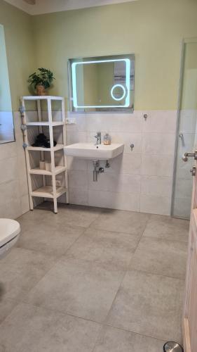 a bathroom with a sink and a mirror at Haus WattErlebnis - Urlaub mit Hund an der Nordseeküste in Sehestedt