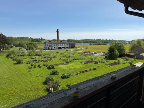 a view of a field with a building in the background at Voore kortermajutus in Voore