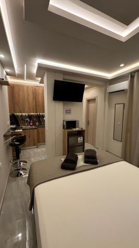 Lush Studio Apartment