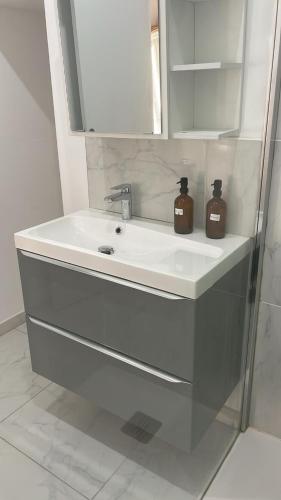 - un lavabo dans la salle de bains avec 2 bouteilles de savon dans l'établissement Spacieux 2 pieces a Marseille 1er, à Marseille