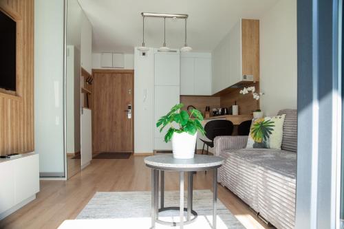 Kuchyň nebo kuchyňský kout v ubytování Apartament na Pogodnie 500 metrów od szpitala na Unii Lubelskiej Bezpłatny parking
