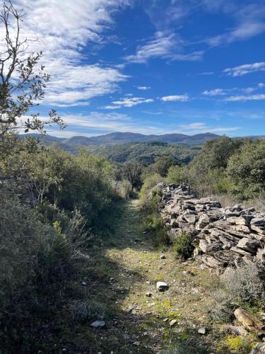 a stone path on the side of a mountain at Une chambre au jardin in Saint-Pons-de-Thomières