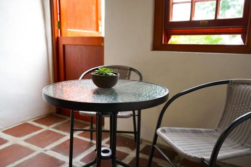una pequeña mesa con una planta encima en The Little Gallery, en Villiersdorp