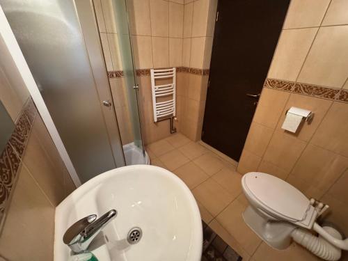 a small bathroom with a toilet and a sink at Casa din Barsana in Bîrsana