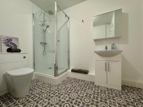 a bathroom with a shower and a toilet and a sink at Twin Farms Apartment, Super location, with parking in Kenton