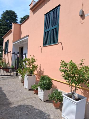 a row of potted plants in front of a building at Lemon Garden Home in Rome