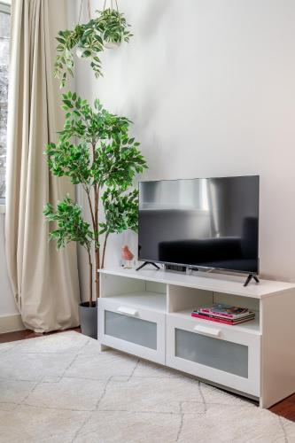 Renovated & Quiet 1-Bedroom in Santa Catarina