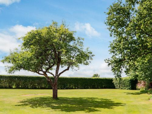 a tree in the middle of a green field at 4 star holiday home in Förslöv in Förslöv