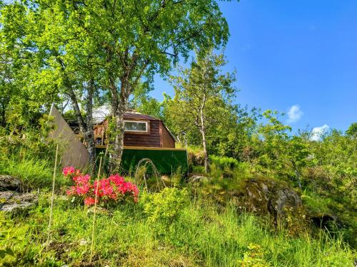 a house in the middle of a field with flowers at The Perfect Stop - Aurora Lodge in Lødingen