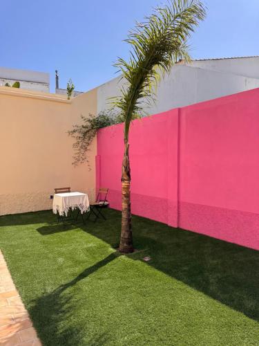 Zahrada ubytování Casa Arcoíris