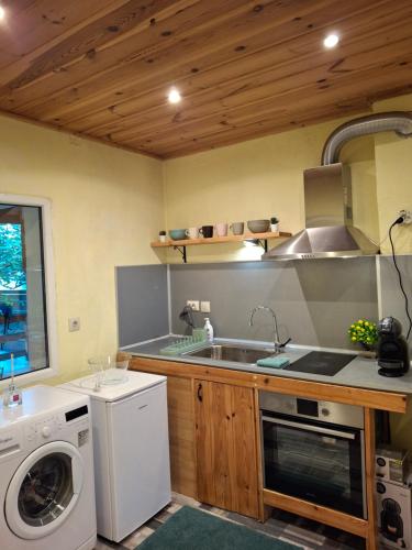 a kitchen with a sink and a washing machine at The Old Cherry House in Razlog