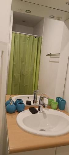 ein Badezimmer mit Waschbecken und Spiegel in der Unterkunft logement calme in Saint-Nazaire