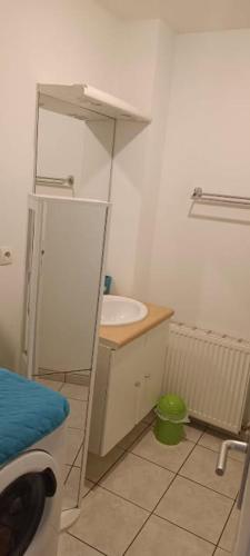 ein kleines Badezimmer mit Waschbecken und Spiegel in der Unterkunft logement calme in Saint-Nazaire