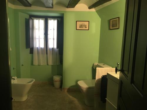 a green bathroom with a toilet and a sink at Casa palaciega Doña Leocadia in Viana