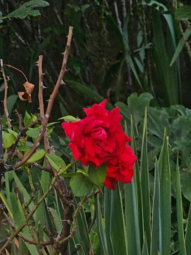 Gallery image of Villa Behar in Ivišovo Greblje