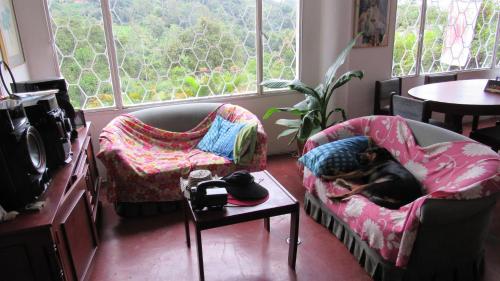 a dog laying on a chair in a living room at Quinta Divina Providencia in Fusagasuga
