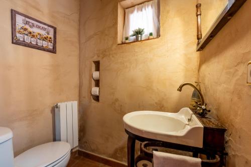 a bathroom with a sink and a toilet at Casa Rural El Viejo Almacén, a 20 minutos de Segovia in Losana de Pirón