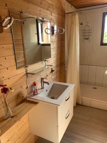 a bathroom with a sink and a mirror and a shower at Family Cottage with a View in Mont-Louis